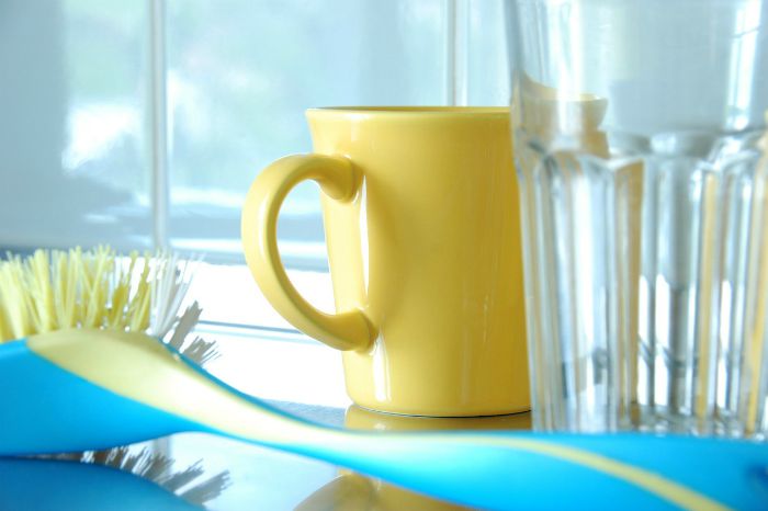 What science knows about our daily dishwashing routine